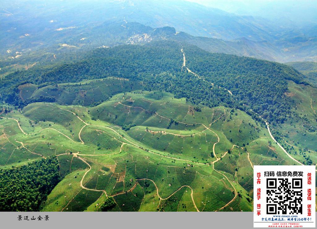 澜沧景迈山全景